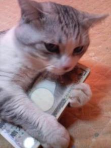 お金大好きのイメージ